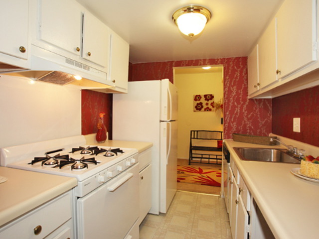 Pet Friendly for Rent in Philadelphia