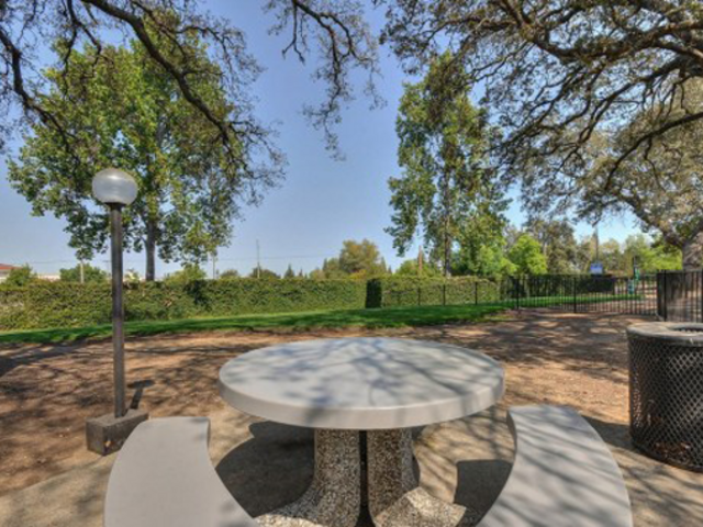 Apartment for Rent in Antelope