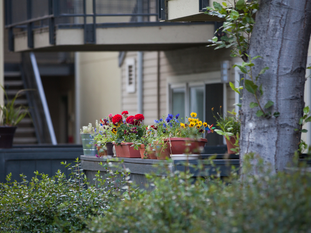 Apartment for Rent in Fremont