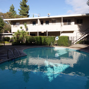 The Palms Apartments