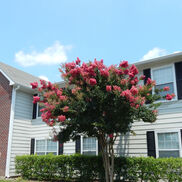 Meriwether Place