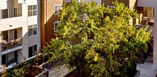 Almaden Lake Village Apartments San Jose Almaden Lake Village Apartments San Jose