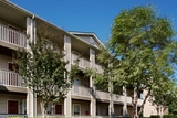 Mission Reedy Creek