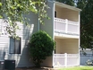 Forestbrook