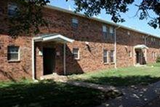 Cricket Court