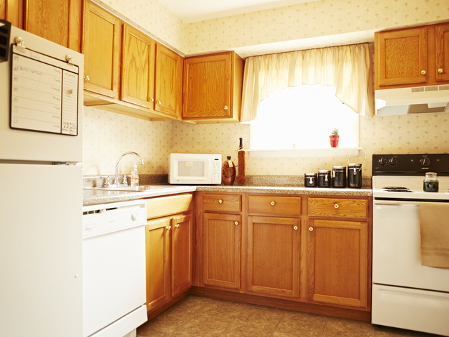 Pet Friendly for Rent in Emmaus