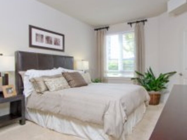 Apartment for Rent in Emeryville