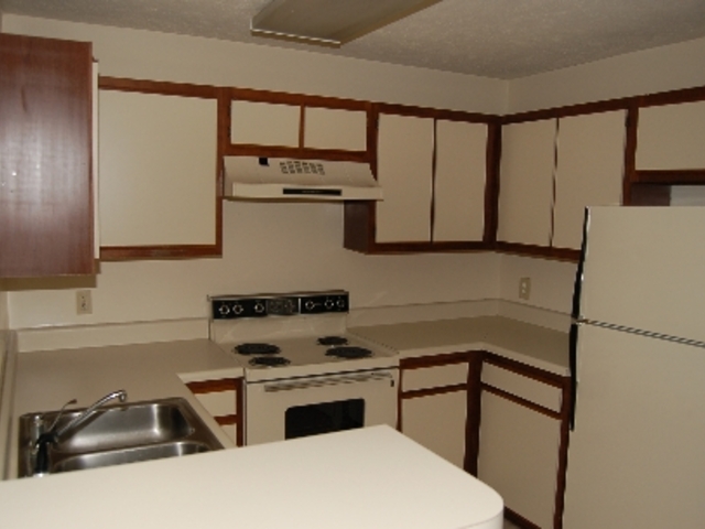 Pet Friendly for Rent in Stafford