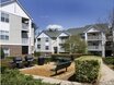 Landmark at Mallard Creek