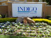 Indigo West