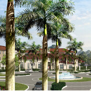 The Park At Kendall