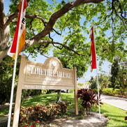 Lime Tree Associates LLC