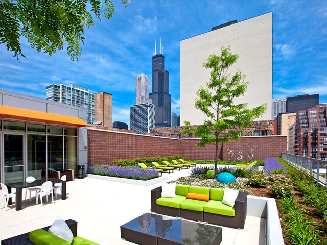 Pet Friendly for Rent in Chicago