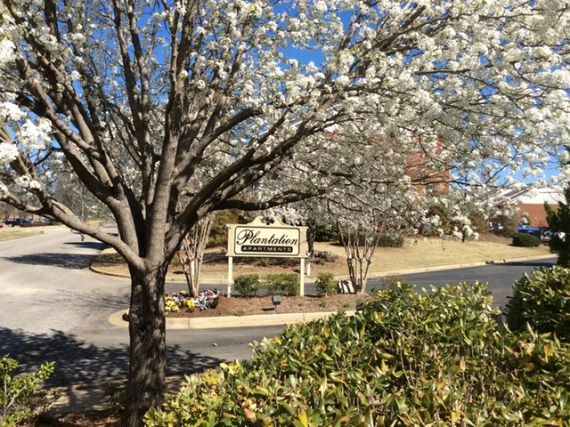 Plantation Apartments