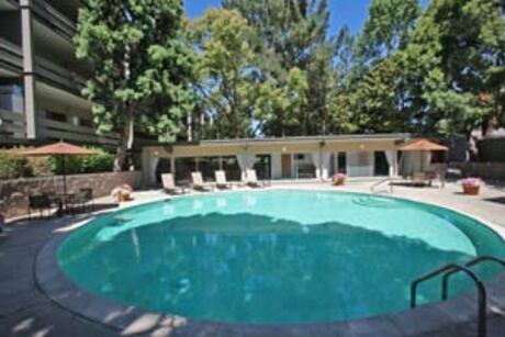 Apartment for Rent in Palo Alto