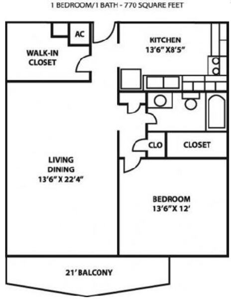 1 Bed 1 Bath