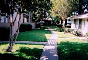 Summit Rose Apartments | Escondido, California, 92025   MyNewPlace.com