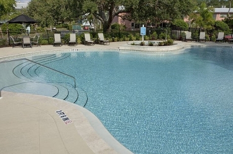 Pet Friendly for Rent in Clearwater