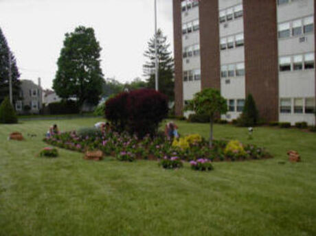 Brook Apartments - 62 /Disabled Living