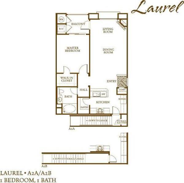 Laurel