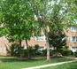 Colonial Village