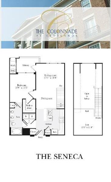 1 Bed 1 Bath The Seneca