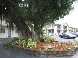 Parkcrest Apartments | Oakland Park, Florida, 33334   MyNewPlace.com