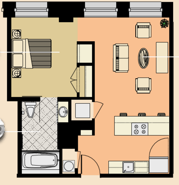 1 Bed 1 Bath (B1)
