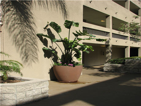 Apartment for Rent in Long Beach