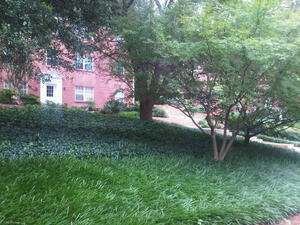 Oak Knoll | Atlanta, Georgia, 30324  Garden Style, MyNewPlace.com