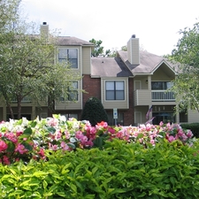 River Birch | Charlotte, North Carolina, 28210   MyNewPlace.com