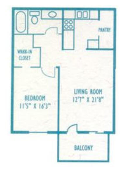 1 Bed 1 Bath