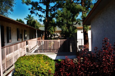 Apartment for Rent in Whittier