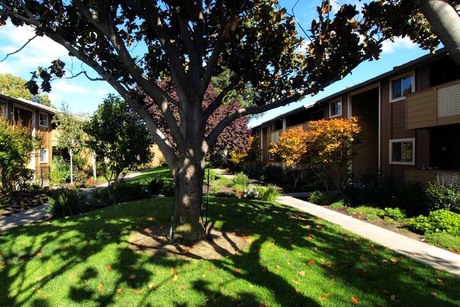 Apartment for Rent in Cupertino