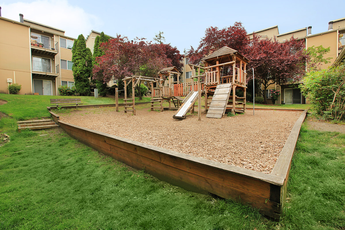 Timbers Image 31