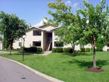 Pet Friendly for Rent in Antioch