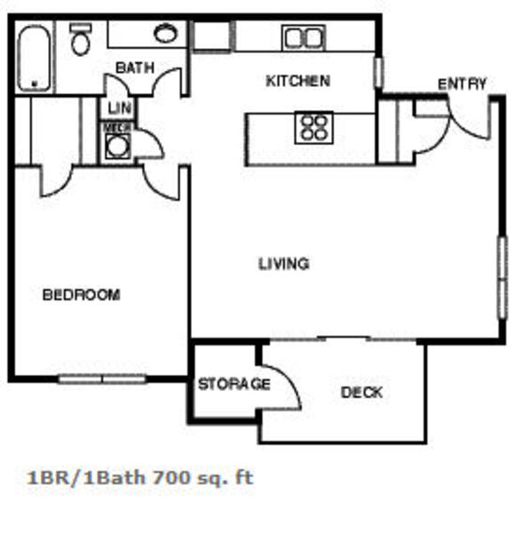 1 Bed 1 Bath