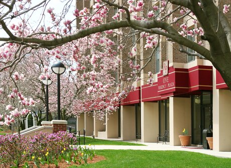 Apartment for Rent in Providence