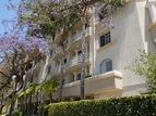 Renaissance Apartments