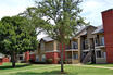 Cedar Glen