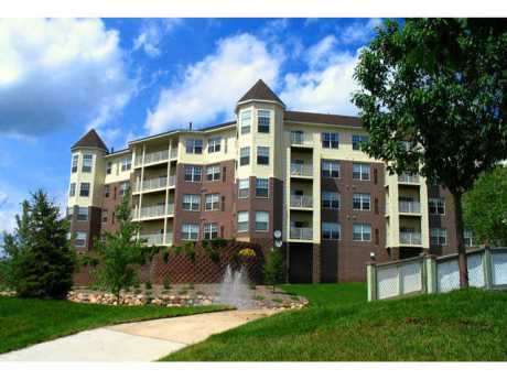 Pet Friendly for Rent in Burnsville