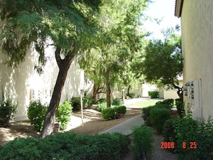 Galleria | Glendale, Arizona, 85304   MyNewPlace.com