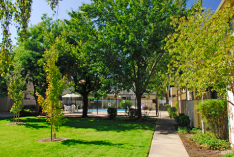 Apartment for Rent in Concord
