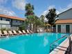 The Pines Apartments