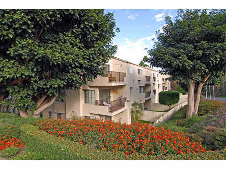Apartment for Rent in Carlsbad