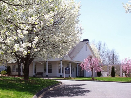 Apartment for Rent in Middletown