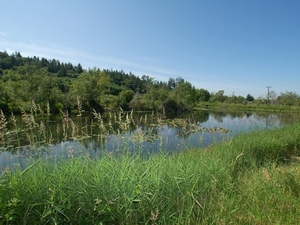 Twin Ponds Apartments | Arlington, Washington, 98223   MyNewPlace.com