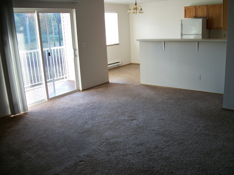 Pet Friendly for Rent in Arlington