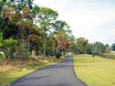 Hibiscus Springs