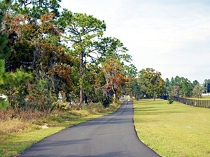 Hibiscus Springs | Spring Hill, Florida, 34609  Garden Style, MyNewPlace.com